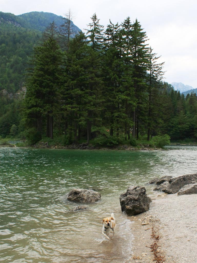 Na Lago del Predil