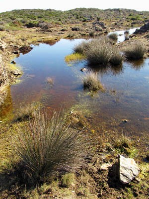 cap-de-creus-2.jpg